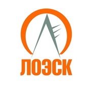 Филиал АО «ЛОЭСК» «Пригородные электрические сети»