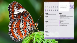 02_butterfly_1366x768