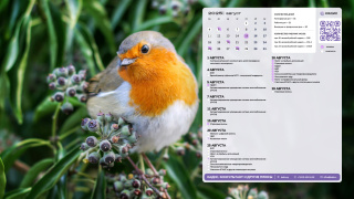 03_bird_1366x768