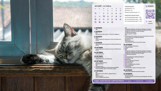 06_cat_1366x768