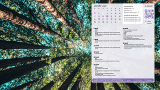06_forest_1366x768