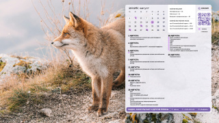 06_fox_1366x768