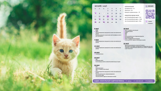 07_kitten_1366x768