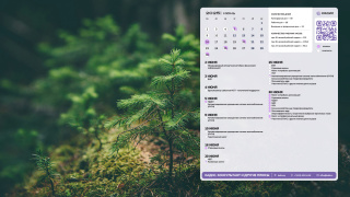 08_forest_1366x768