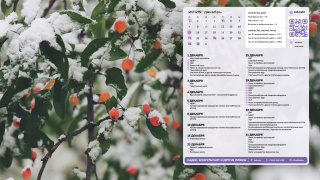 2025.12_03_winter_berries_1366x768