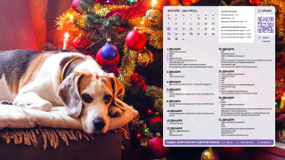 2025.12_04_dog_1366x768