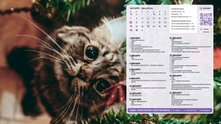 2025.12_10_xmas_cat_1366x768