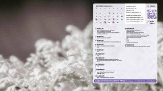 2026.02_08_winter_flowers_1366x768