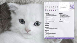 2026.02_09_kitten_1366x768