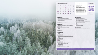 2026.02_10_forest_1366x768