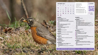 2026.03_06_bird_1366x768