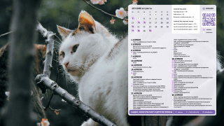 2026.04_01_cat_1366x768