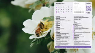 2026.04_02_bee_1366x768