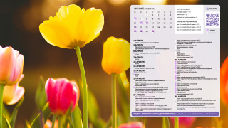 2026.04_03_tulips_1366x768