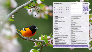 2026.04_06_bird_1366x768