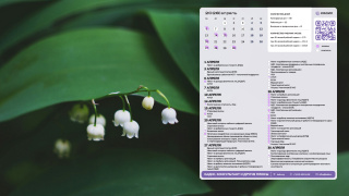 2026.04_07_lily_1366x768