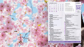 2026.04_09_blossom_1366x768