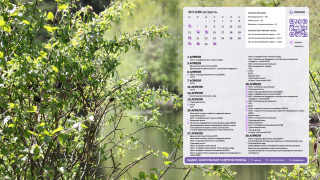 2026.04_10_forest_1366x768