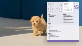 2026.05_06_puppy_1366x768