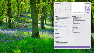 2026.06_05_forest_1366x768