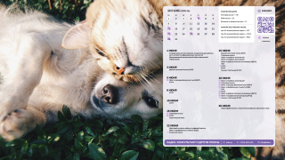 2026.06_07_pets_1366x768