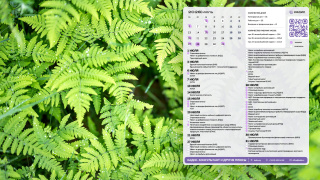 2026.07_01_forest_1366x768