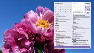 2026.07_02_flowers_1366x768