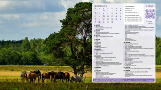 2026.07_04_horses_1366x768