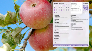 3_apples_1366x768