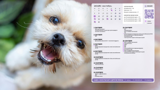 4_dog_1366x768