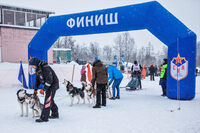 Зимний праздник с хаски