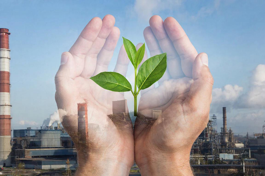 Учреждено звание Почетный эколог Ленинградской области