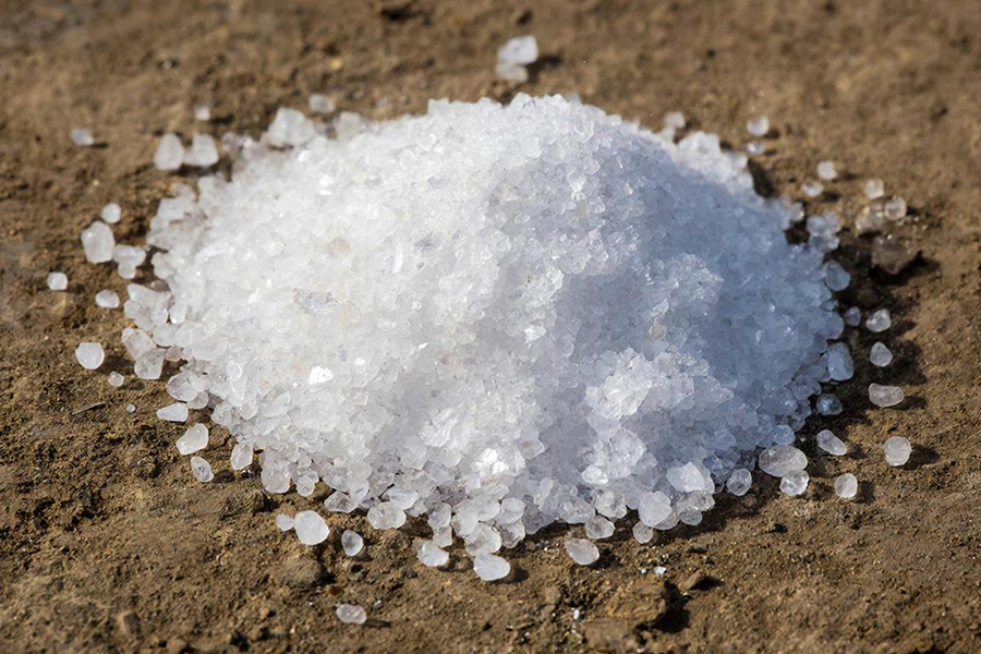 СПб запретил аммиачную селитру до 2026