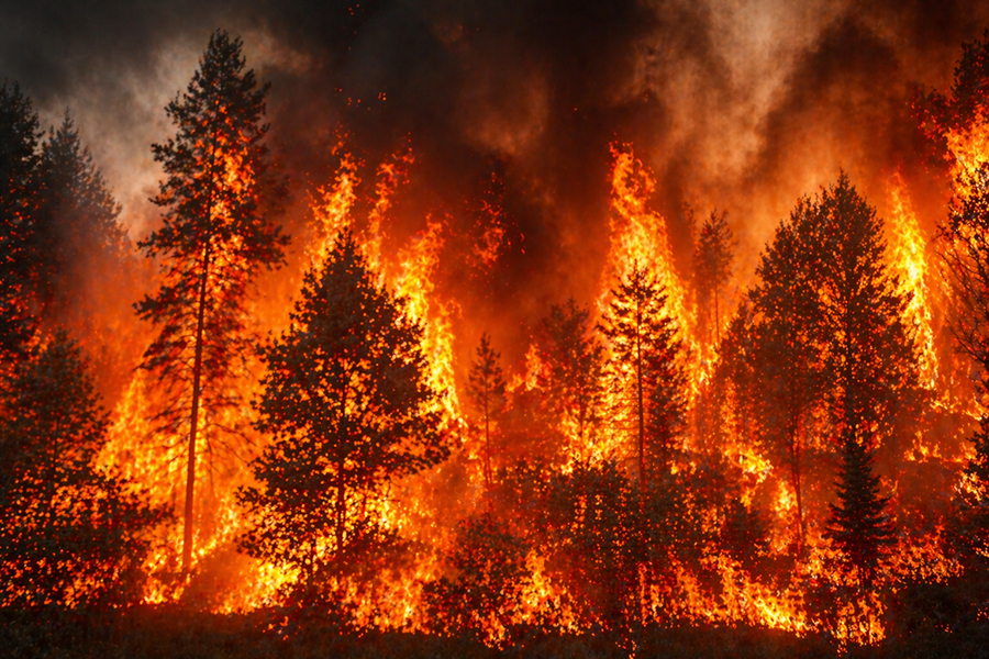 В Санкт-Петербурге установлено начало пожароопасного сезона